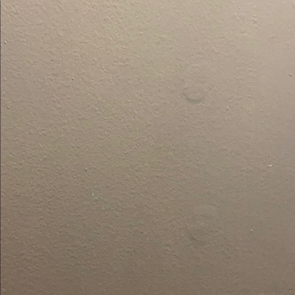 rebeccapalme297